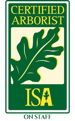 ISA Certified Arborist On Staff-250x400 ISA Certified Arborist On Staff-250x400