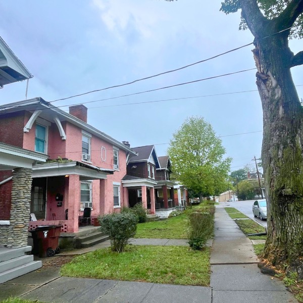 Website-about-section-houses-tree-frontyard
