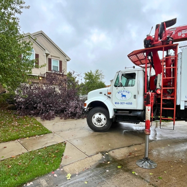 Website-about-section-truck-house-trees