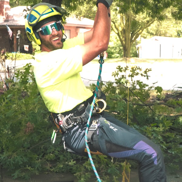 Website-arborist-section-guy-harnessed-debris Website-arborist-section-guy-harnessed-debris