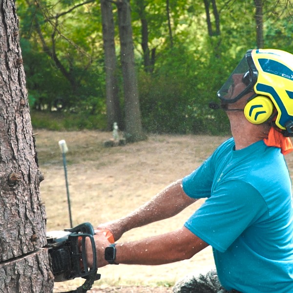 Website-arborist-section-guy-helmet-tree Website-arborist-section-guy-helmet-tree