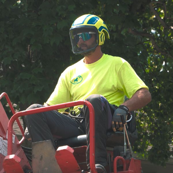 Tree service professional at Belgian Tree Service carefully operating a crane during a tree removal job.
