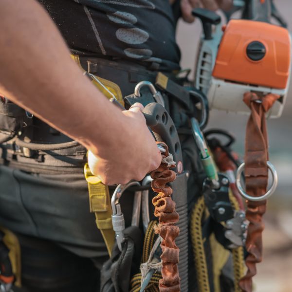 Website-pruning-safety-gear-chainsaw-pruner Close up of Certified Arborist's safety gear on his hip and a small chainsaw in hand.