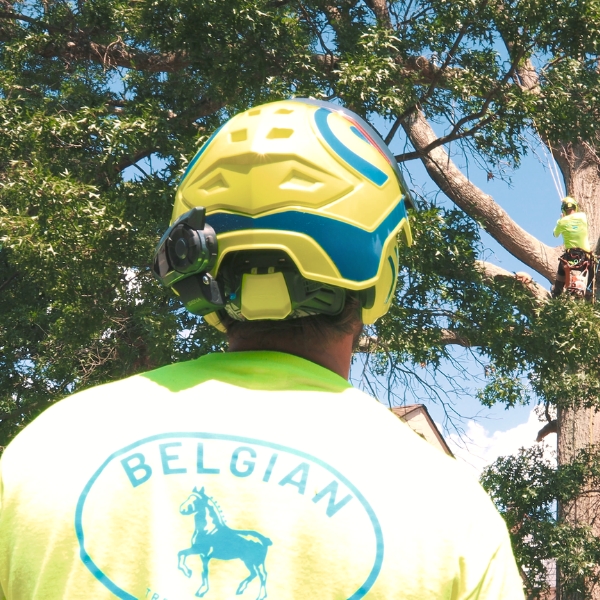 Website-pruning-section-belgian-shirt-full-gear-man-harnessed-2 (1) Website-pruning-section-belgian-shirt-full-gear-man-harnessed-2 (1)