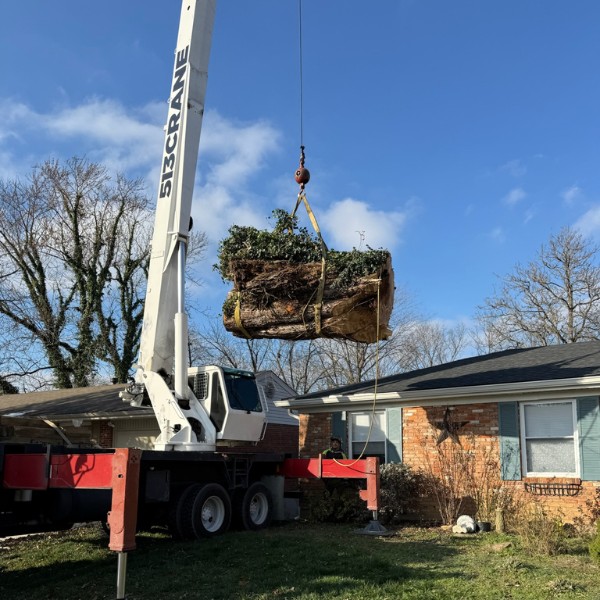 Website-removal-section-crane-log-house Website-removal-section-crane-log-house
