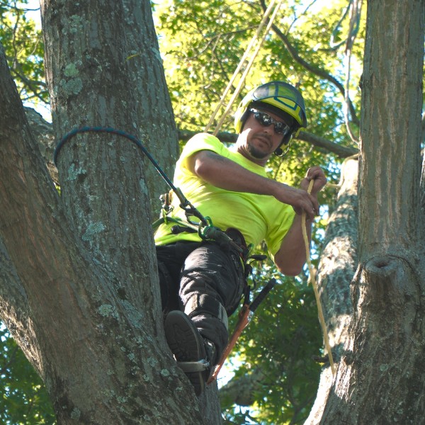 Website-servicearea-section-guy-helmet-harnessed Website-servicearea-section-guy-helmet-harnessed