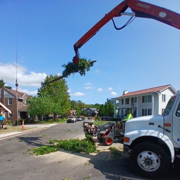 Website-storm-section-skidsteer-grappleclaw-debris Website-storm-section-skidsteer-grappleclaw-debris