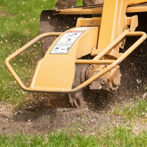 Website-stump-section-grinder-stump-woodchips
